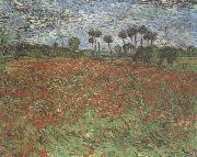 Vincent Van Gogh Field with Poppies (nn04) oil painting on canvas